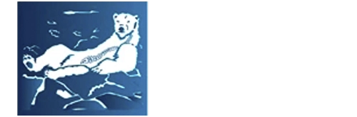 The Arctic Chiropractic West Mat-Su website footer logo